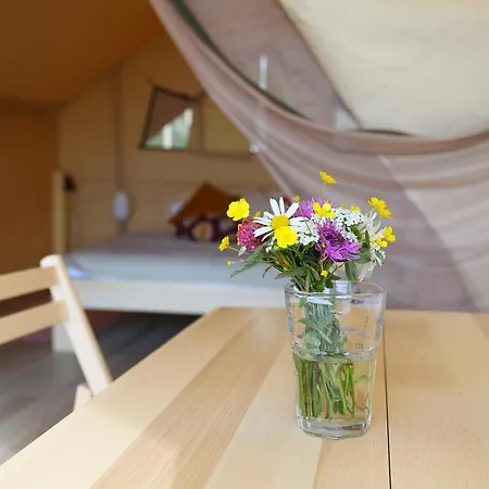 Οργανωμένο κάμπινγκ Glamping