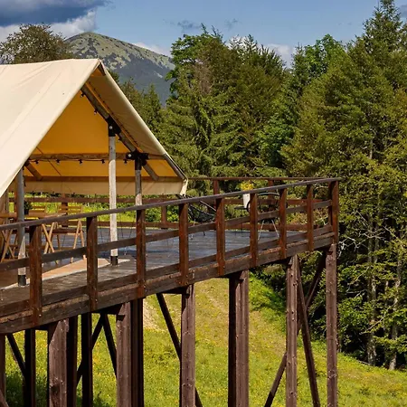 Glamping Glamping *
