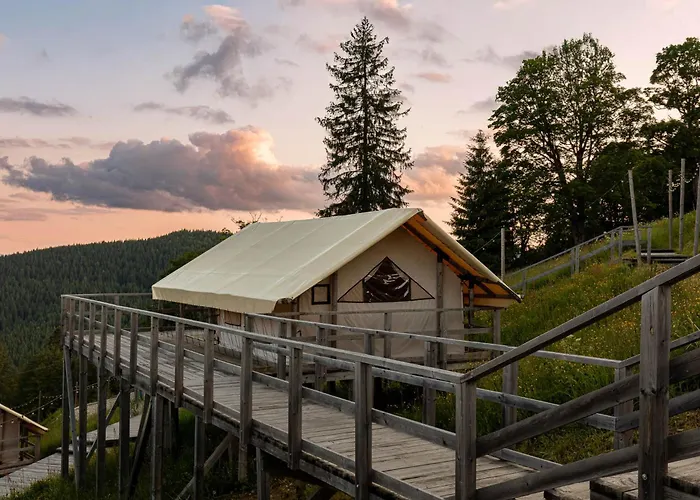 Glamping 豪华帐篷 *